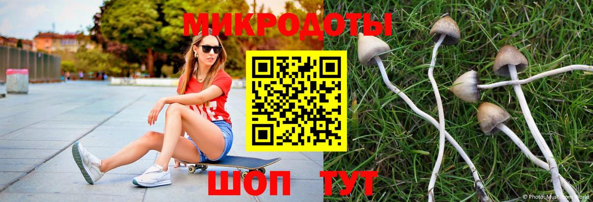 Ревда  Псилоцибиновые грибы мицелий  Вход с VPN 